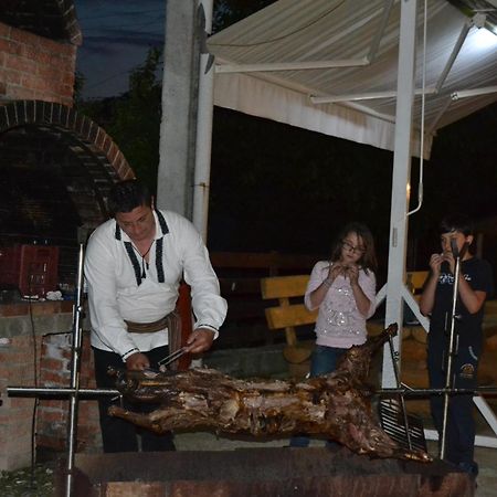 Pensiunea Moldova Piatra Neamţ Buitenkant foto