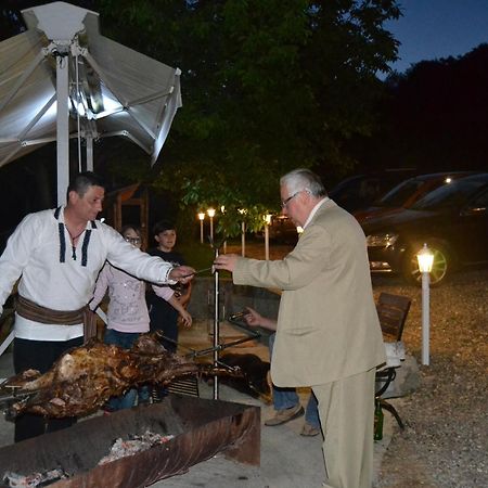 Pensiunea Moldova Piatra Neamţ Buitenkant foto