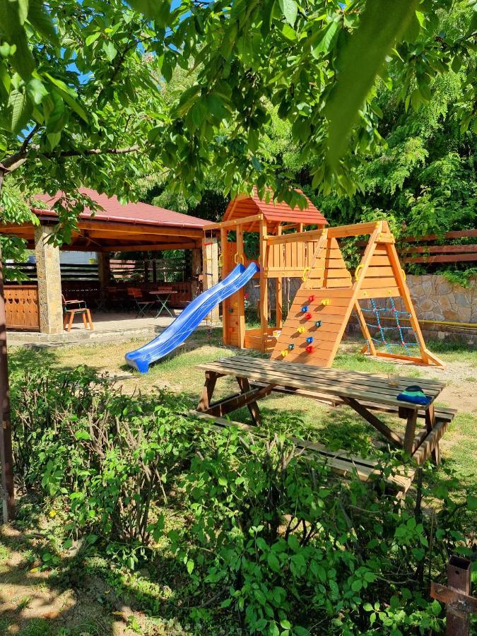 Pensiunea Moldova Piatra Neamţ Buitenkant foto