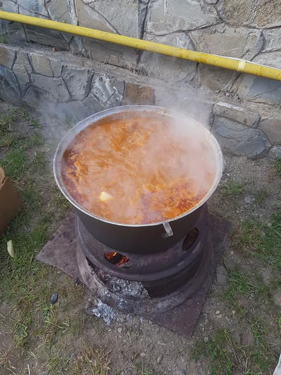Pensiunea Moldova Piatra Neamţ Buitenkant foto